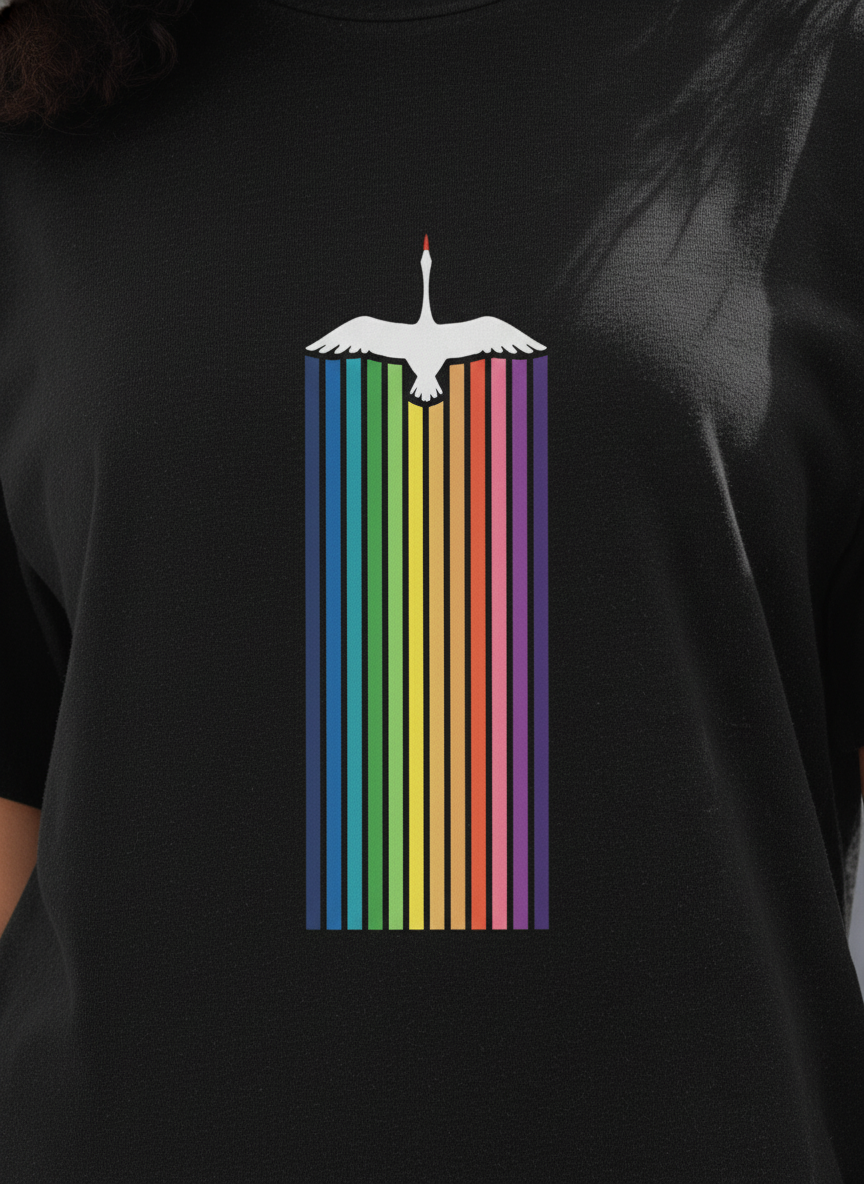WOMEN'S BLACK RAINBOW FLIGHT REGULAR FIT TSHIRT